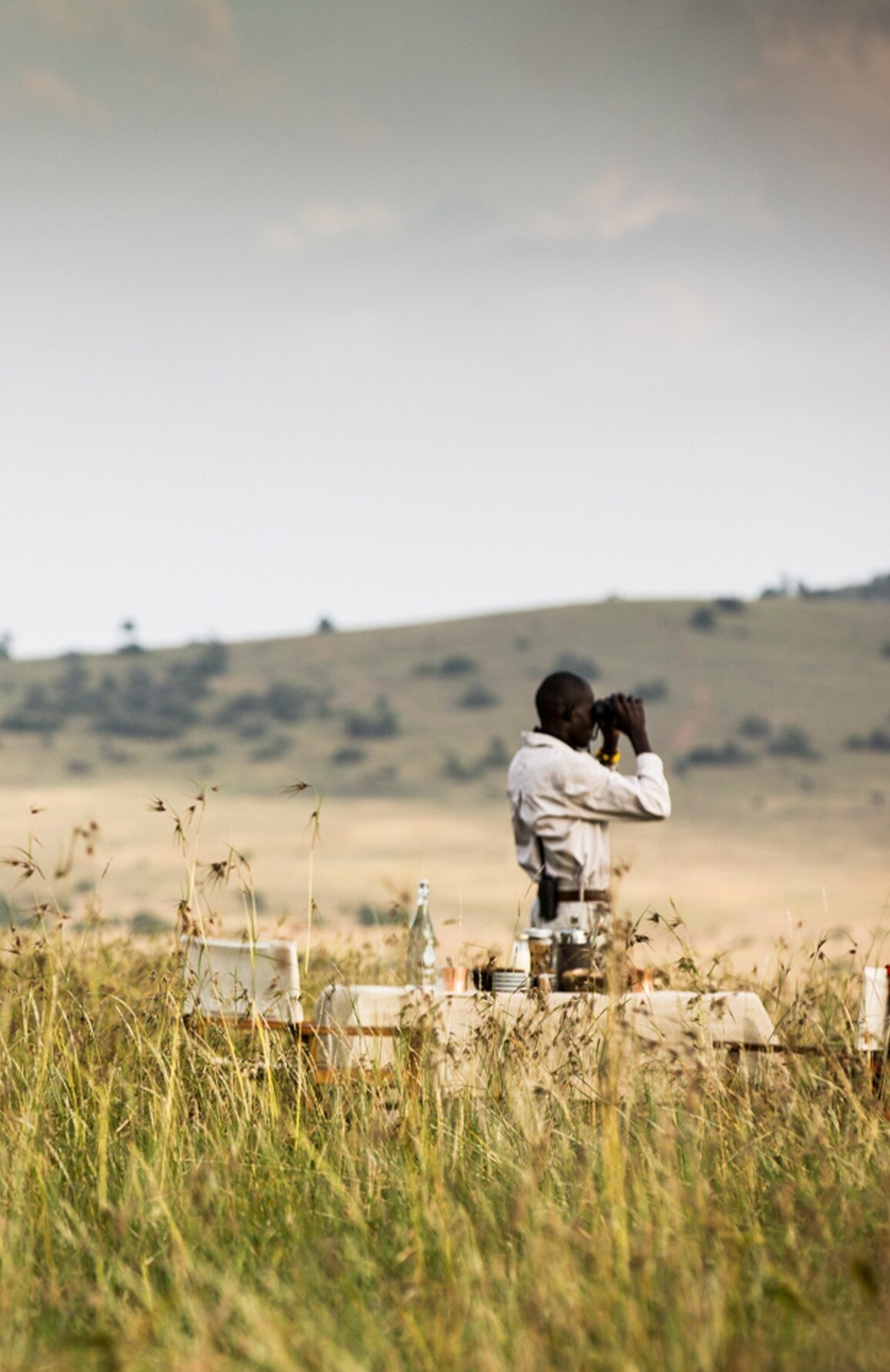 Arijiju in Lewa Wildlife Conservancy — photo 4